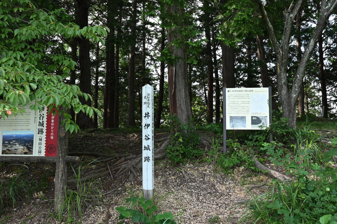 南朝の拠点となった井伊谷城跡